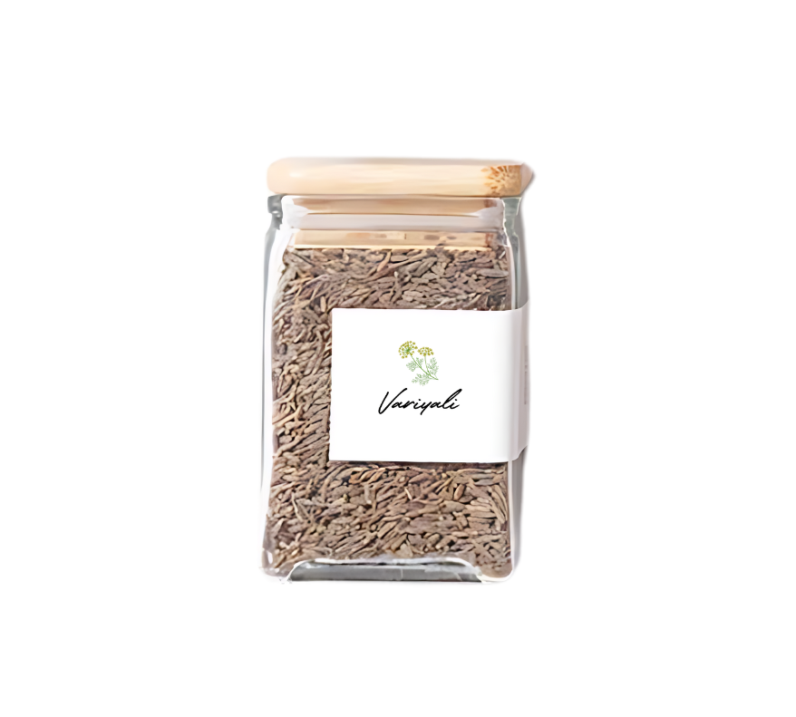 Classic Variyali (Pure Fennel Seeds)